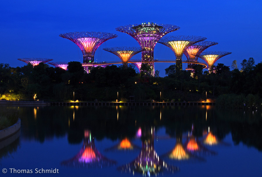 Supertrees